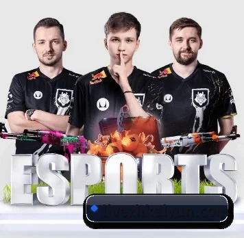 开云 APP